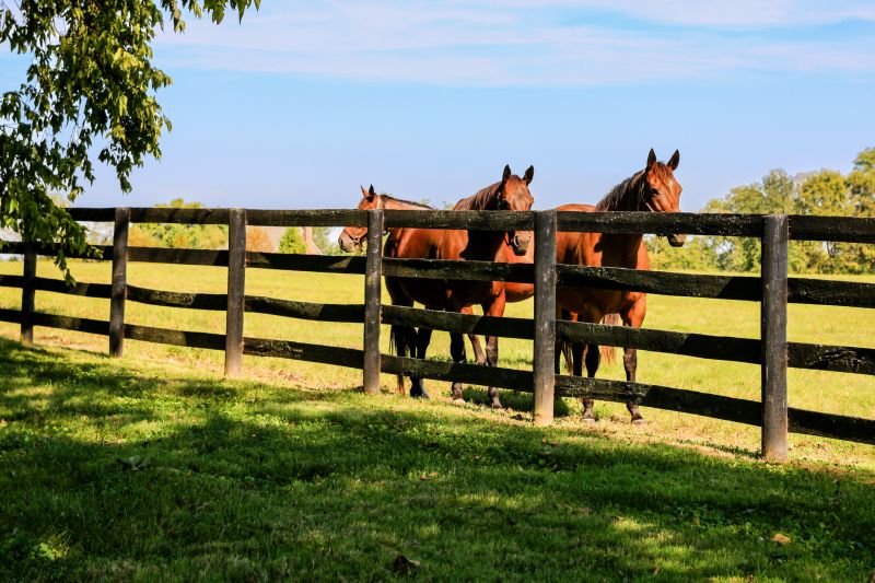 Stable Fencing Installation in Pearland, TX